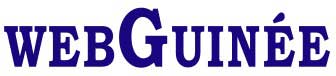 webGuinee Books logo