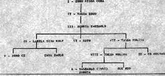 genealogie de la famille de Zohota