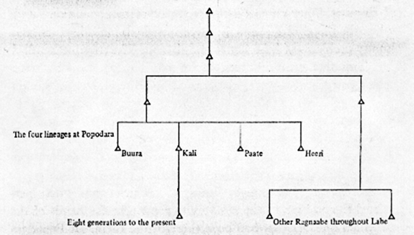 fig2