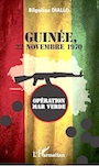 Bilguissa Diallo. Guinee, Operation Mar Verde